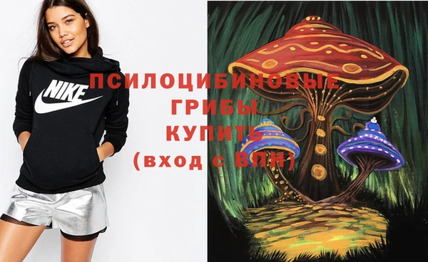 скорость Пестово