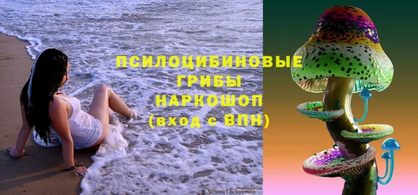 скорость Пестово
