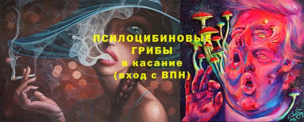 герыч Пересвет