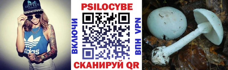 Купить  Катав-Ивановск  Псилоцибиновые грибы Magic Shrooms 